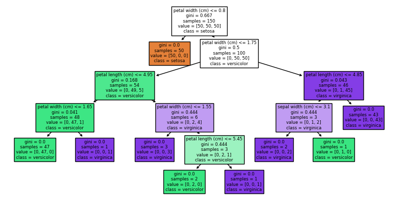 iris_tree_viz.png